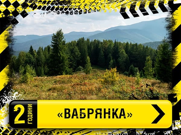 Галявина перед лісом на маршруті Вабрянка в Яремче – середній рівень складності маршруту, панорама на гори