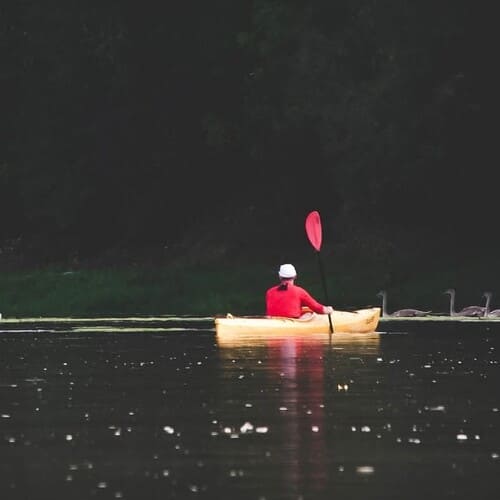 Спокійний сплав на каяку по річці Дністер біля Івано-Франківська з видом на лебедів